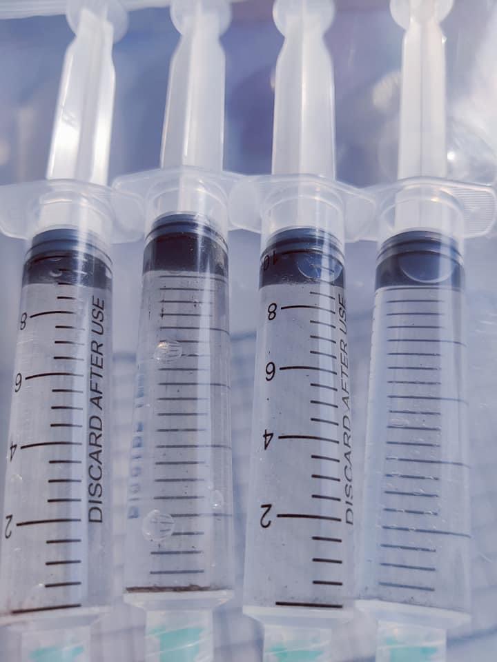 Magic Mushroom Spore syringe – Pensacola psilocybe cubensis